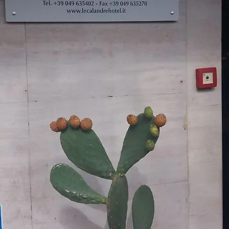 Szálloda Le Calandre 3*