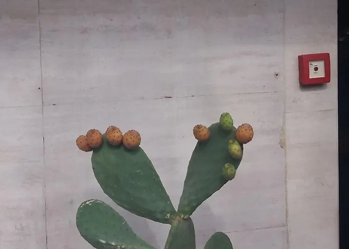 Hotel Le Calandre 3*